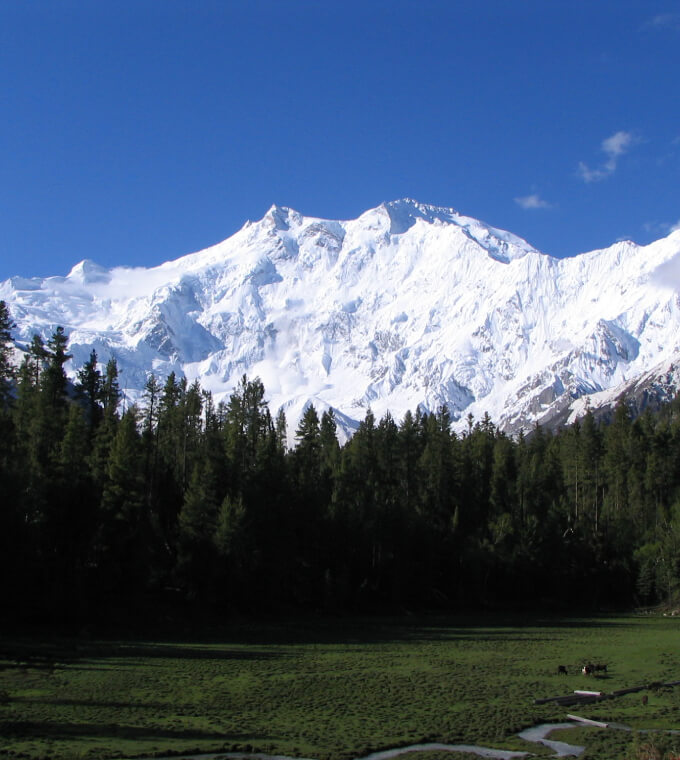 Heavenly Kashmir Himg