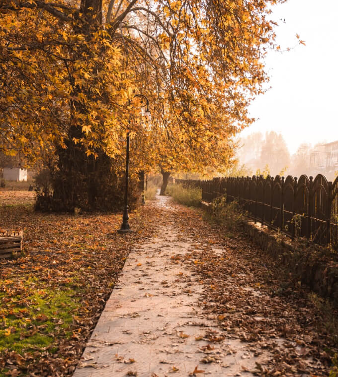 Kashmir Autumn Img1